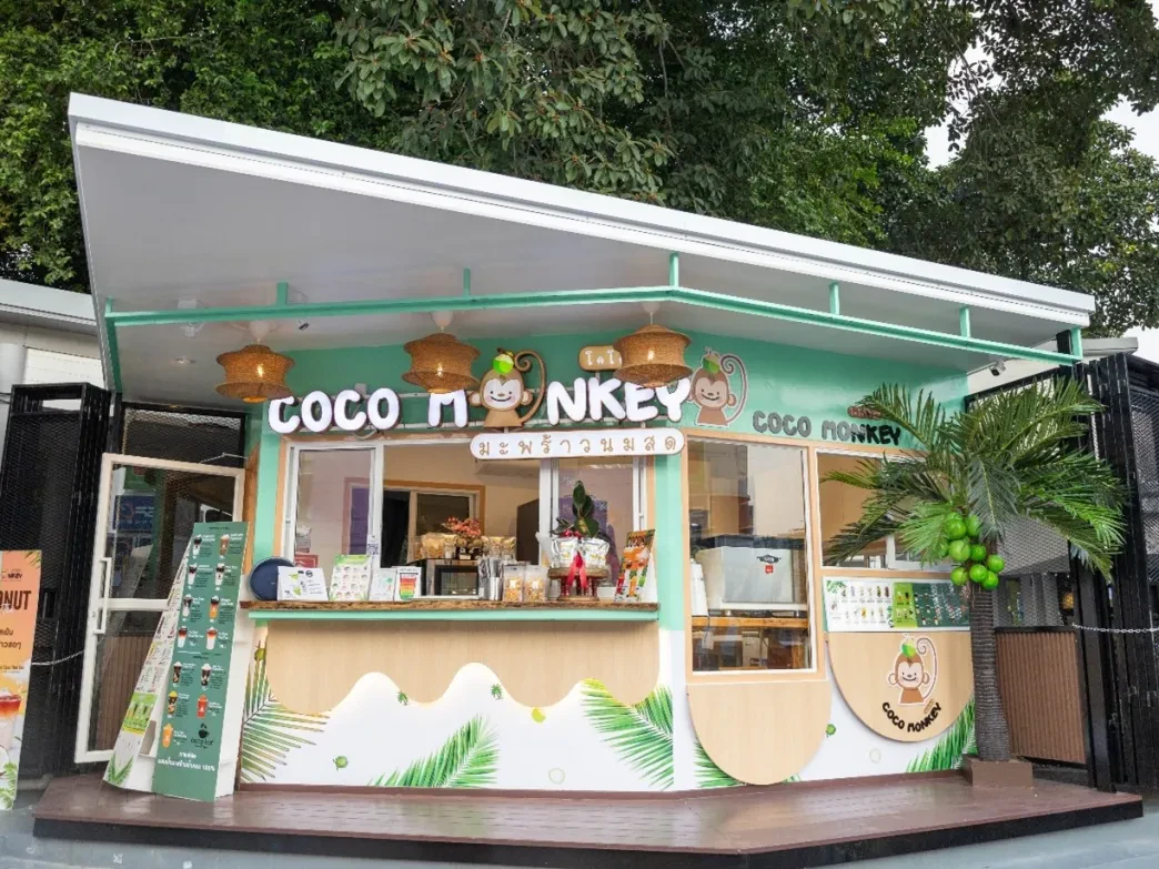 COCO MONKEY 1